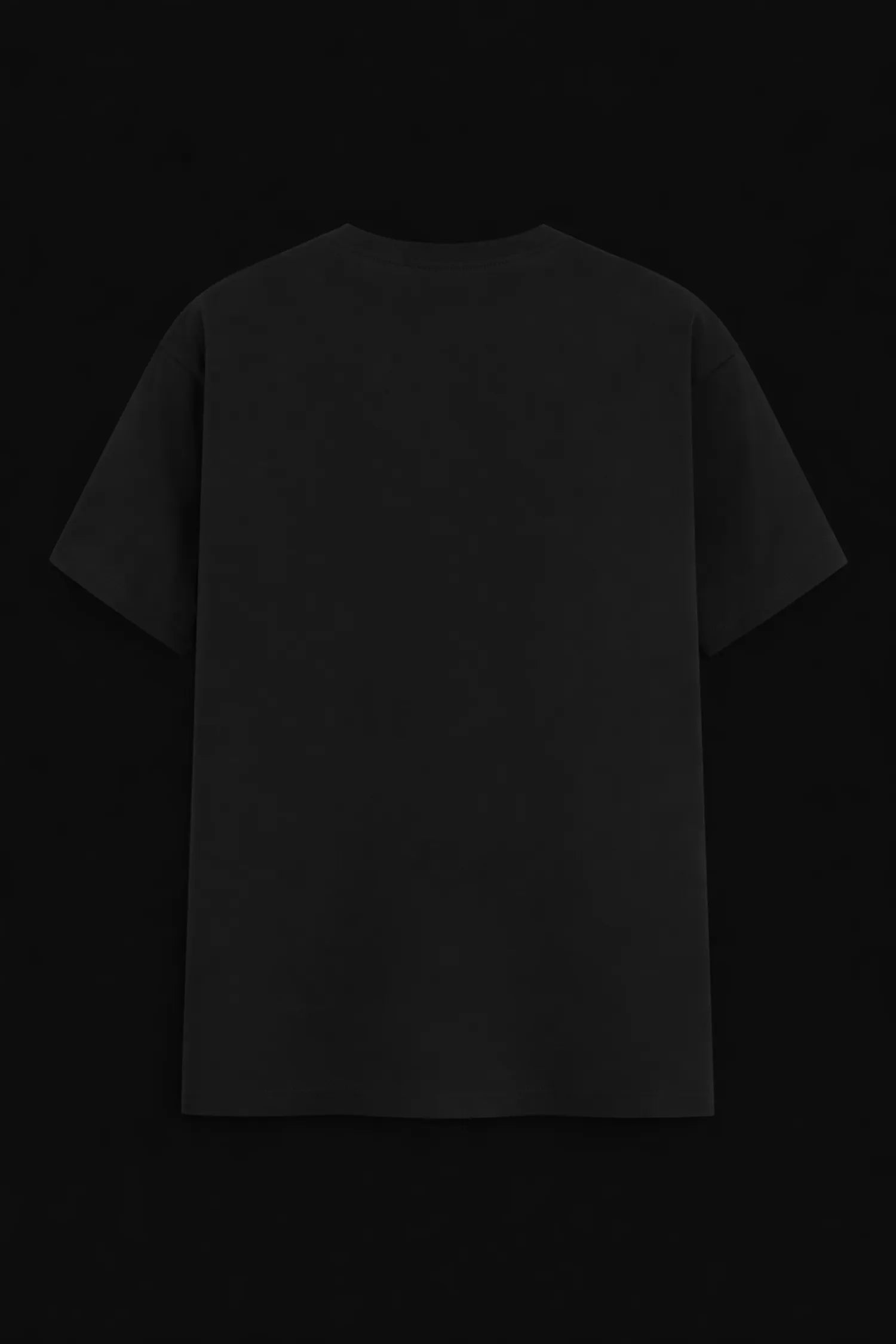 CAPOEIRA REGULAR FIT TSHIRT