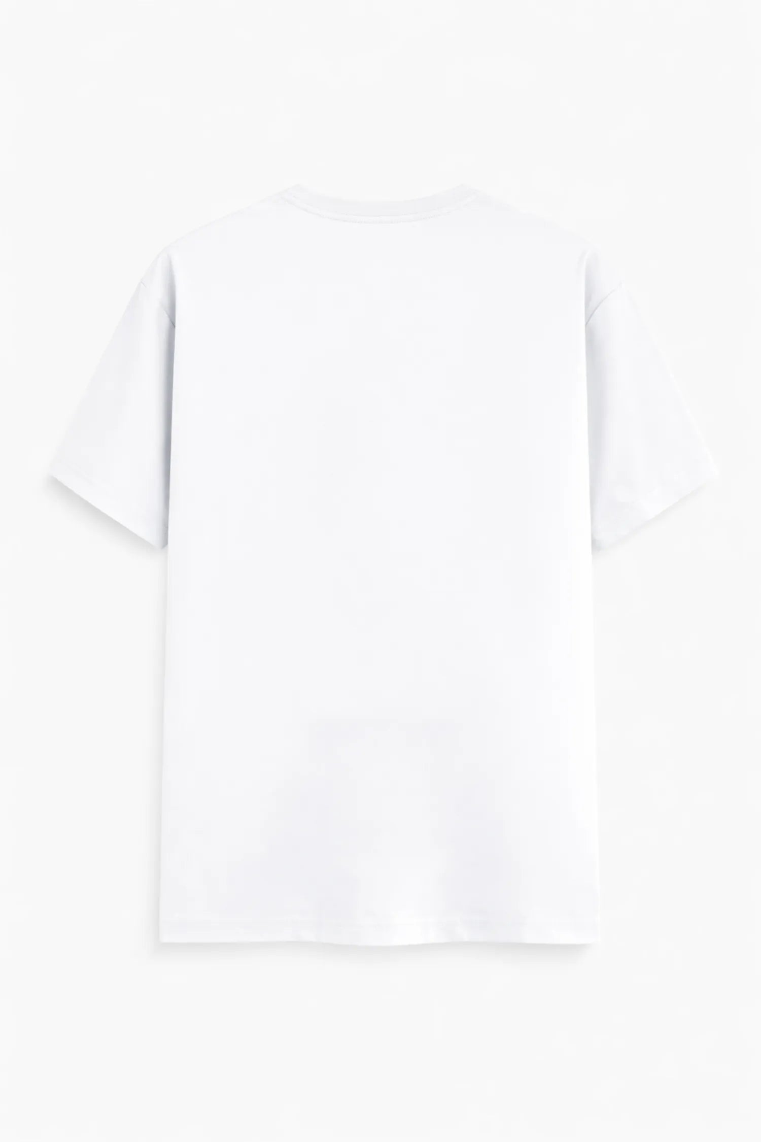 CAPOEIRA REGULAR FIT TSHIRT